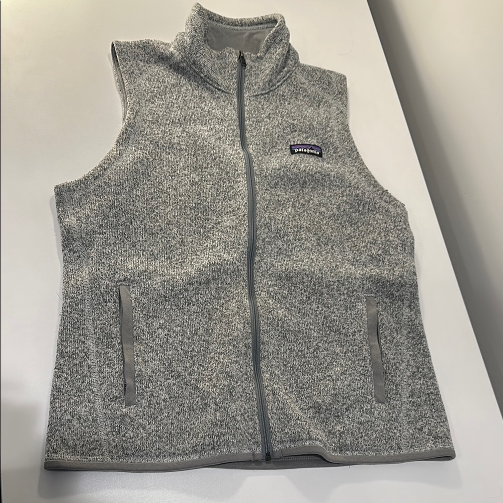 Patagonia Gray Fleece Vest